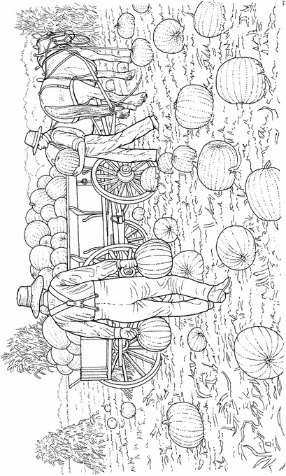 Plansa de colorat cu Ferma 49 37